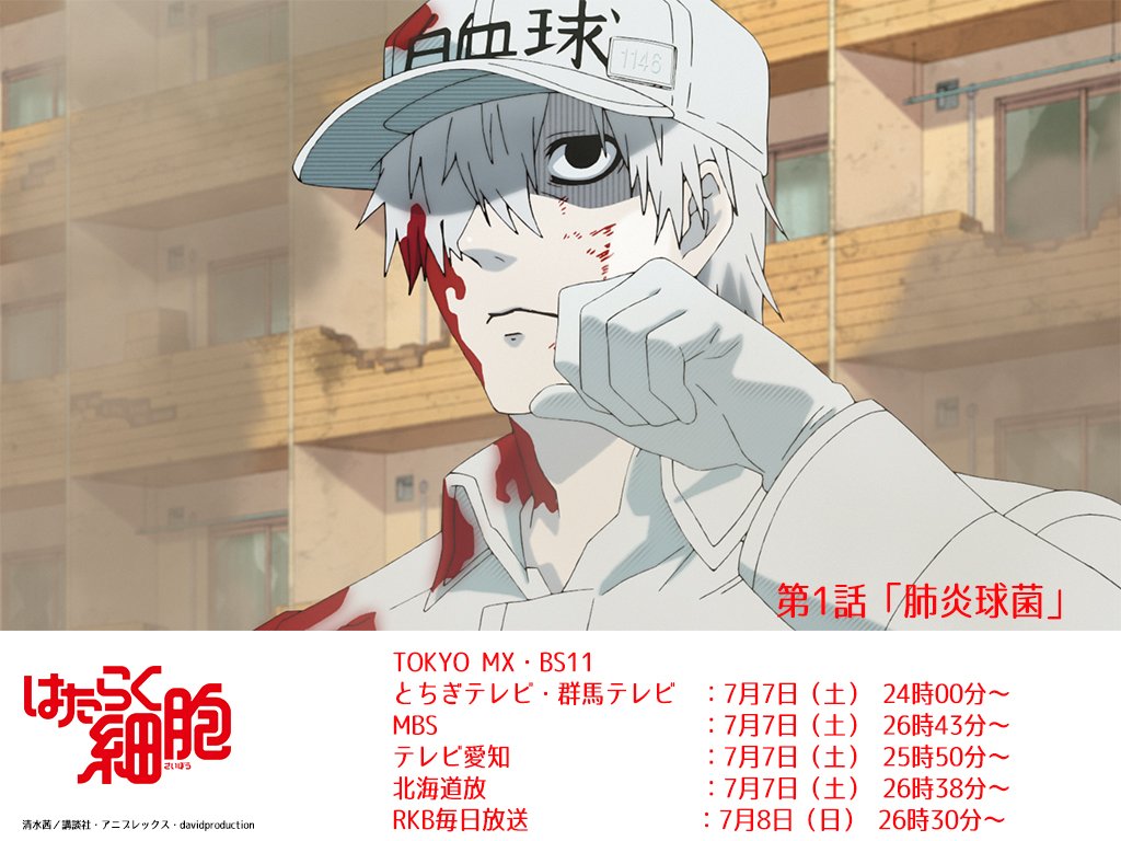 はたらく細胞 公式 على تويتر 第1話放送まであと5分 はたらく はたらく細胞 公式 على تويتر 第1話放送まであと5分 はたらく