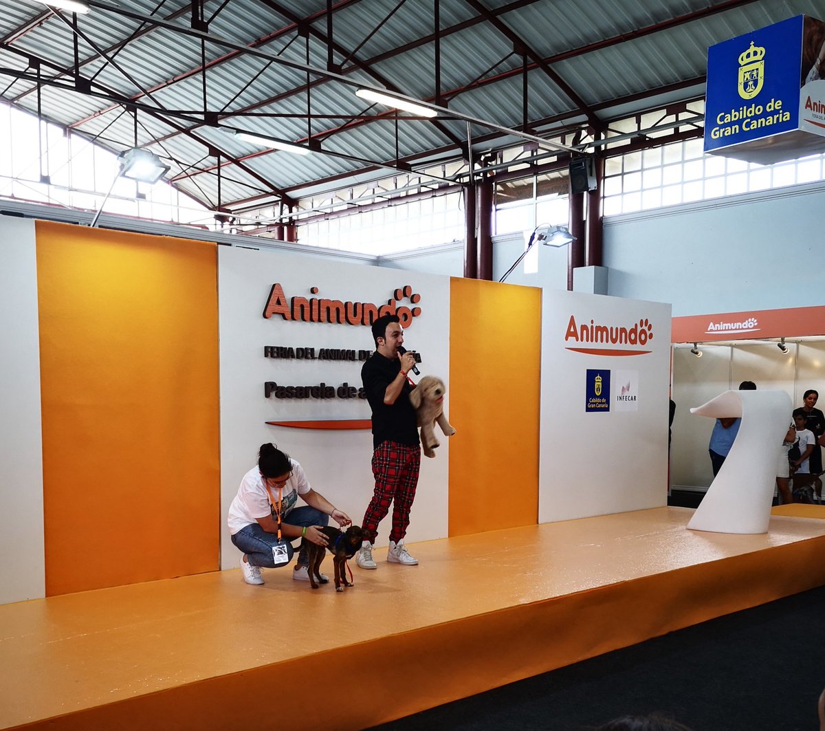 GranCanariaCab's tweet image. A las 17.00 horas se celebra en #Animundo la última pasarela de adopción.

Adopta un perro del Albergue y llevátelo directamente ya revisado por el veterinario, con el chip instalado y su tarjeta de vacunas al día.