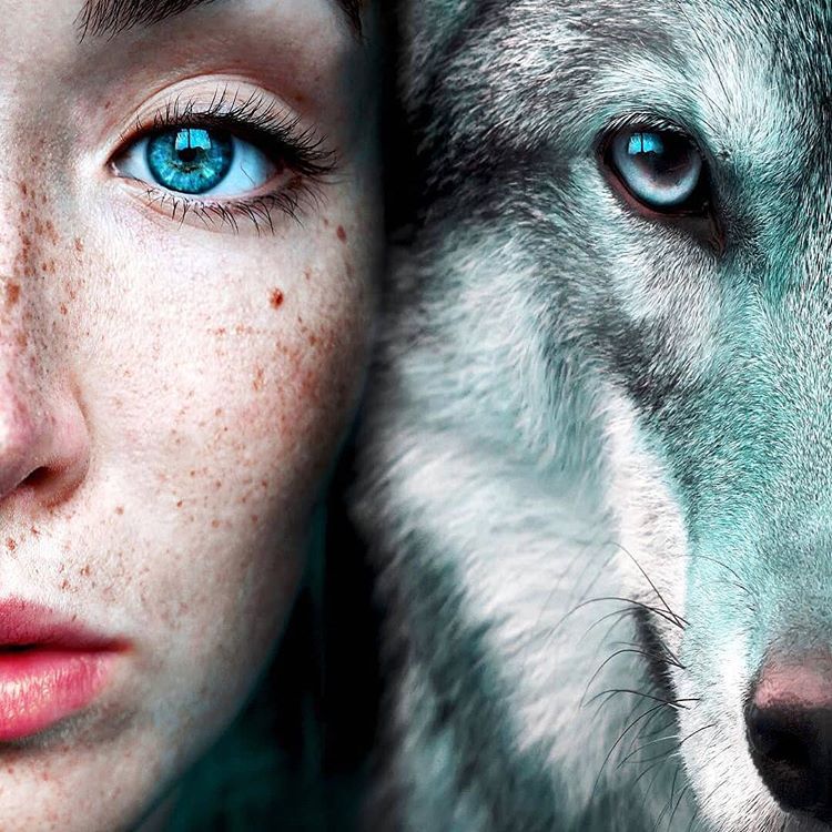 BazoCom's tweet image. #صورة_ملف_شخصي_جديدة