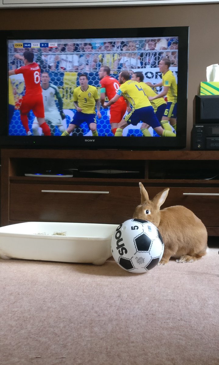 Lillythegiant's tweet photo. 🎶It's coming home, it's coming home! Football's coming home 🎶 https://t.co/1UFtZq328m