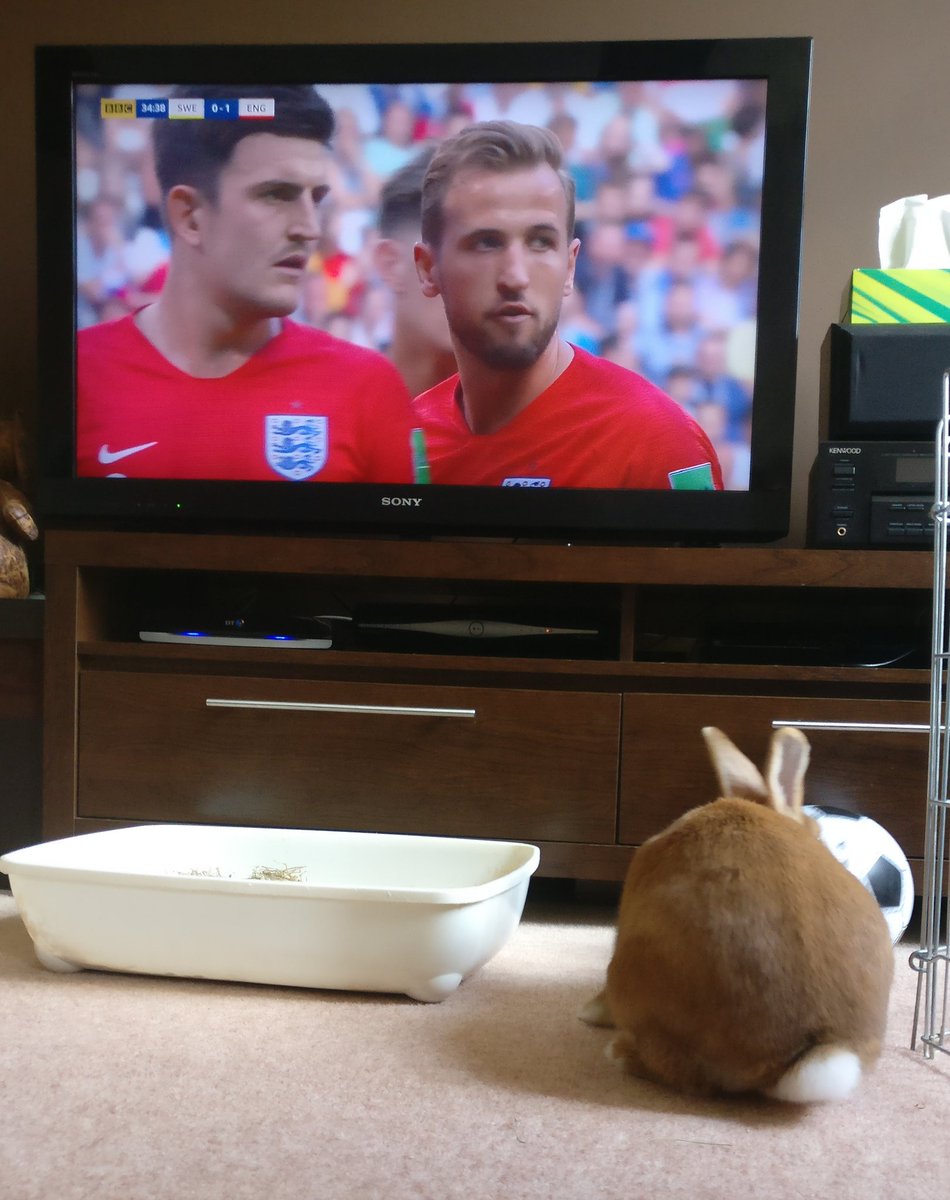 Lillythegiant's tweet photo. 🎶It's coming home, it's coming home! Football's coming home 🎶 https://t.co/1UFtZq328m