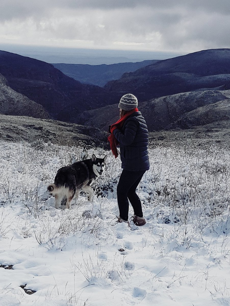 LovetheKaroo's tweet photo. #swartbergpass Monday with our 11yr old family snowdog #magickthemalamute who we took on a snow hunting #roadtrip 🐺 https://t.co/reKf2iKVYA