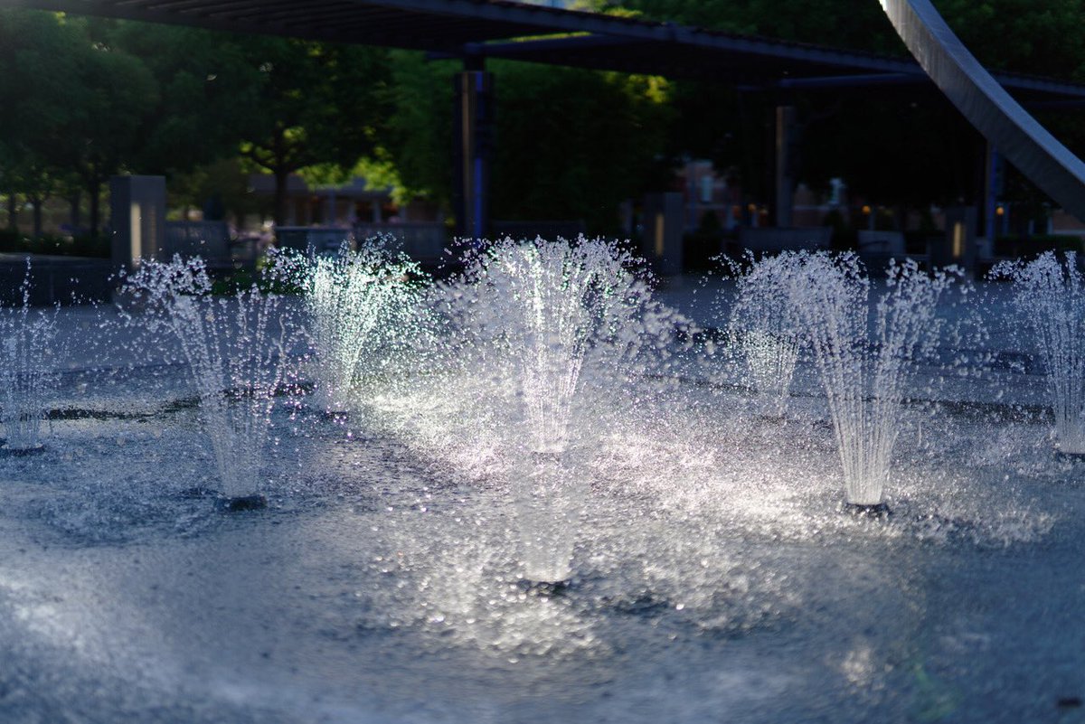 Lowpass10's tweet image. #レンズテスト 
#lenstest 
#クパチーノ 
#サンノゼ散歩 
#cupertino 
#カルフォルニア 
#アメリカ   🇺🇸 
#写真を撮るのが好きな人と繋がりたい 
#写真好きな人と繋がりたい 
#ファインダー越しの私の世界 
#α7riii
#sigma50mmart