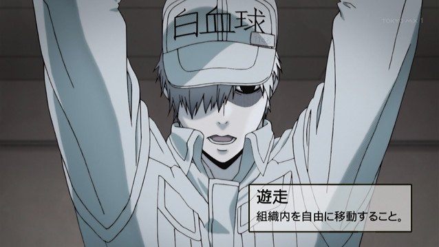 はたらく細胞 第1話 肺炎球菌 白血球さんイケメン 血小板ちゃんカワイイ 人体の勉強になって本格バトルも楽しめ声優さんも豪華な要素てんこ盛りアニメ 3ページ目 Togetter