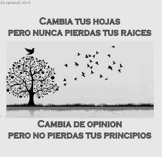 MauraMolgado's tweet photo. Aunque valga madres todo el esfuerzo https://t.co/wwYKe9EPtp