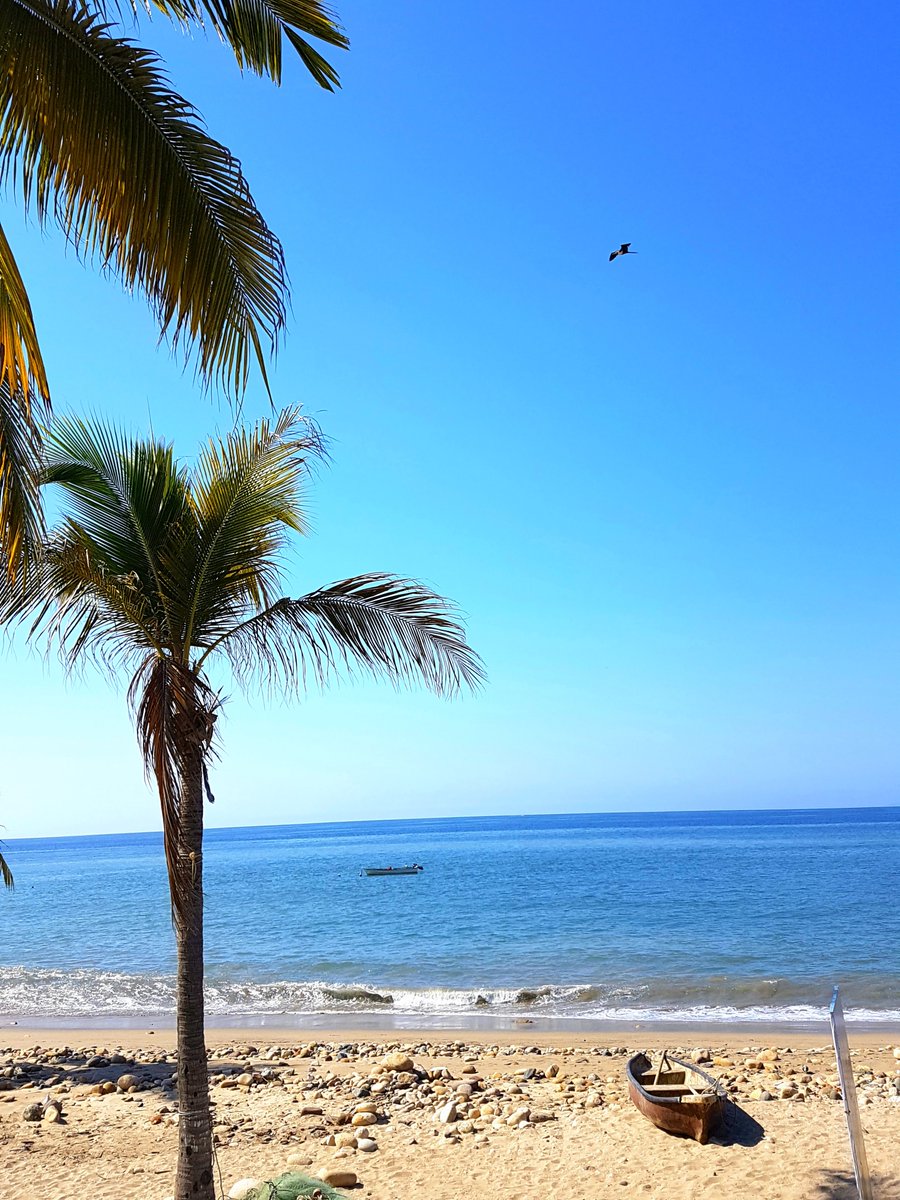 gayPVR's tweet photo. #ThisSummer #TakeAVacation to the #FriendliestGayCity in #Mexico #PuertoVallarta!!
#EsteVerano #TomaUnasVacaciones a la ciudad mas #AmablesAGays, #PuertoVallartaJalisco. 
https://t.co/w4VSPLaY9a #GayGuideVallarta #GuíaGay #GayMap #GayDirectory https://t.co/IiRYCvV1Qv