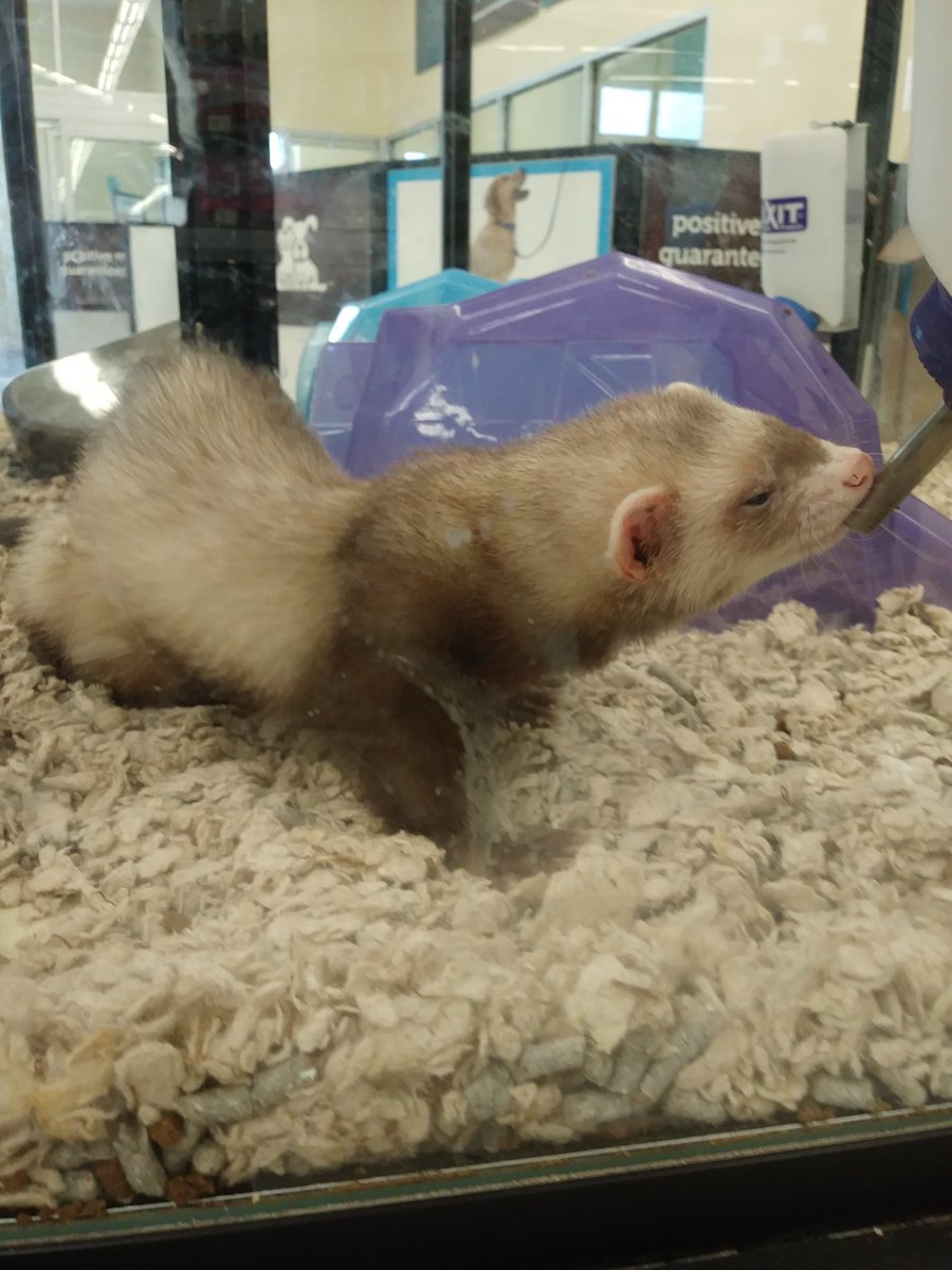 2ClickCowboy's tweet image. Went out on the town and took a paparazzi pic of @jamessmurray getting a drink!