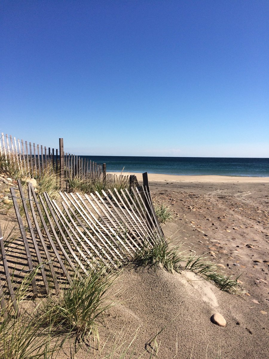 FlowerGirl1002's tweet photo. Summertime smells:  The ocean, suntan lotion, watermelon, BBQ, pineapples &amp; pina coladas, mint, hot dogs &amp; popcorn @ baseball games, fresh mown hay &amp; grass, roses, peonies, lavender, basil, tomatoes leaves #flowers #gardens #nature #baseballfan #smellsofsummer #Oceans #summerfun https://t.co/KpDiPXWAjH