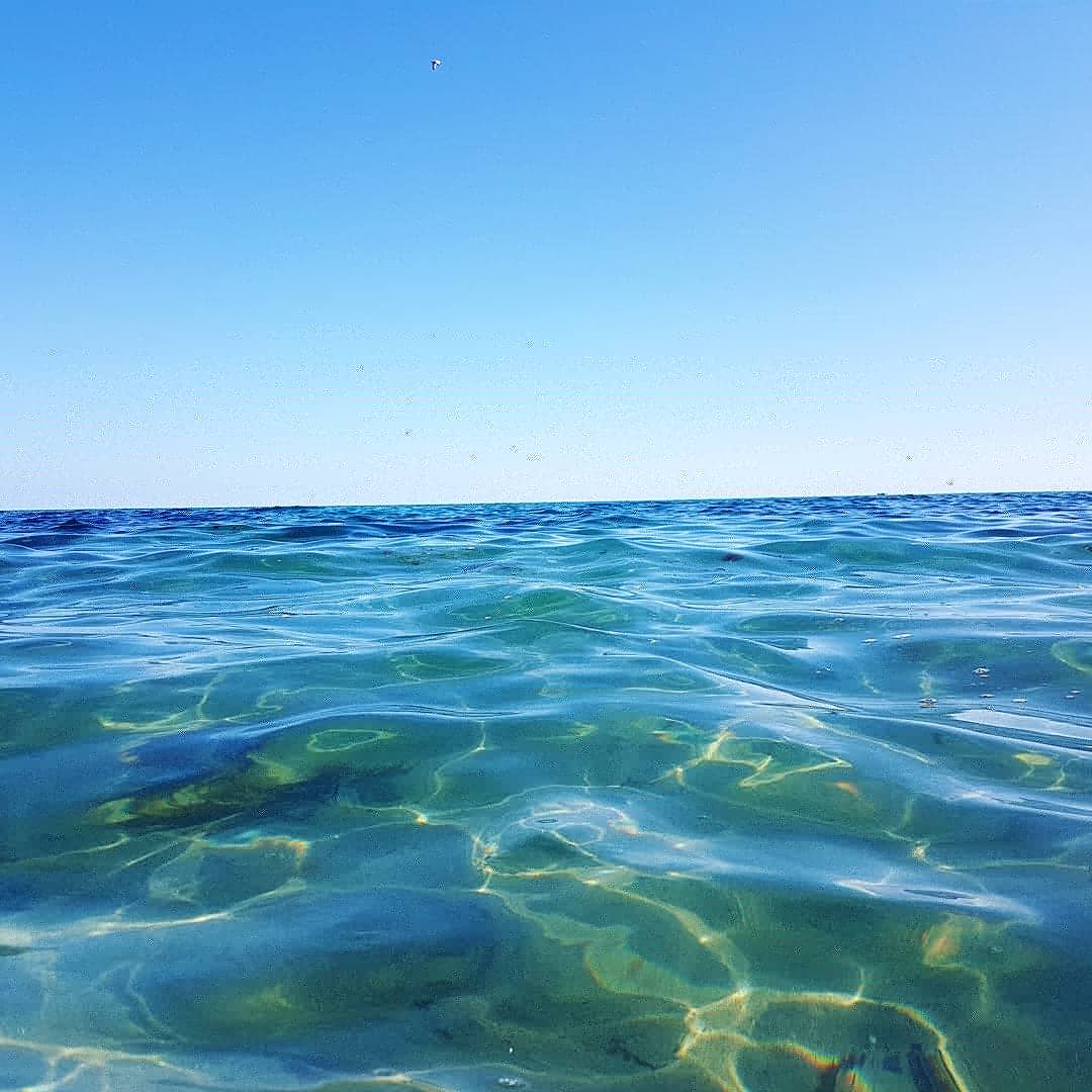 maff_jax's tweet photo. @Dawn_French @CarlyonBayHotel 
Parbados 🌊☀ https://t.co/HAmdFzLpOb