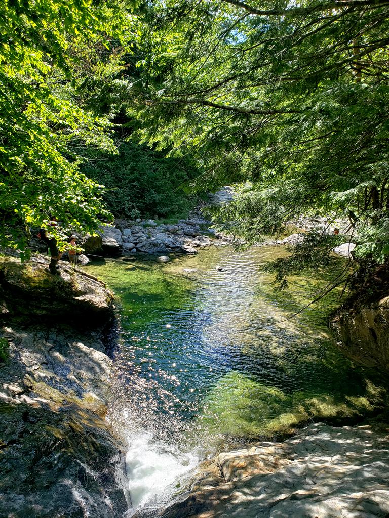 audizway's tweet image. Got my first "locals discount" and found the swimming hole. #vtlife