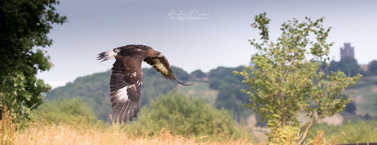 Drew Davies Photography tweet media
