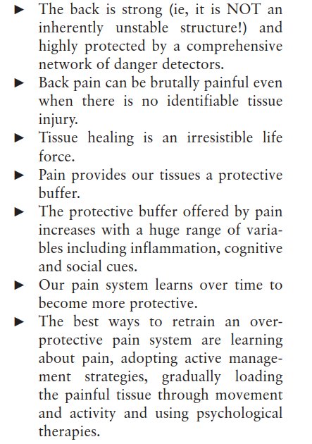 PhysioMeScience's tweet photo. Whole  of community pain education for back pain. Why does first-line care get  almost no attention and what exactly are we waiting for?

💪👀👀🧠

https://t.co/ro6Dq1WUmb https://t.co/iC7bz5fbhY