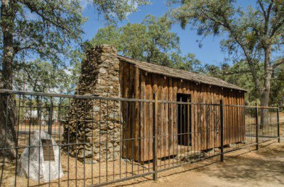 Leads_TwoBuild's tweet image. There is a lot to see up in them there woods… - mailchi.mp/f7236eb2fc07/t…