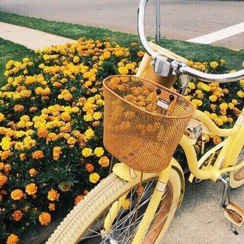 you yellow tweet media