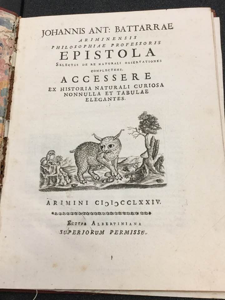 PalmeriJoAnn's tweet photo. Just in time for #Caturday (discovered by our Registrar while #shelfreading): 1774 #naturalhistory text by Giovanni Antonio Battarra, held in #Histsci Collections #earlymodern #nathist #animals #lynx #cats https://t.co/nMl4TwZ4jN