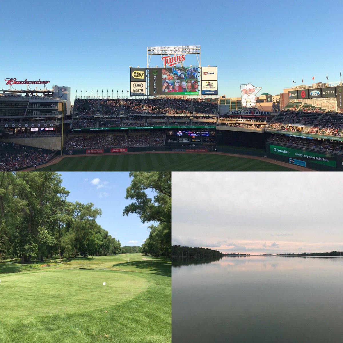 online The Changing Face of Multinationals