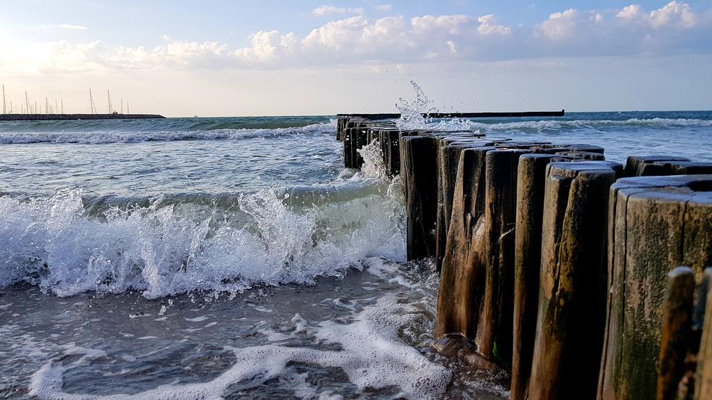 Küstenkumpel tweet media
