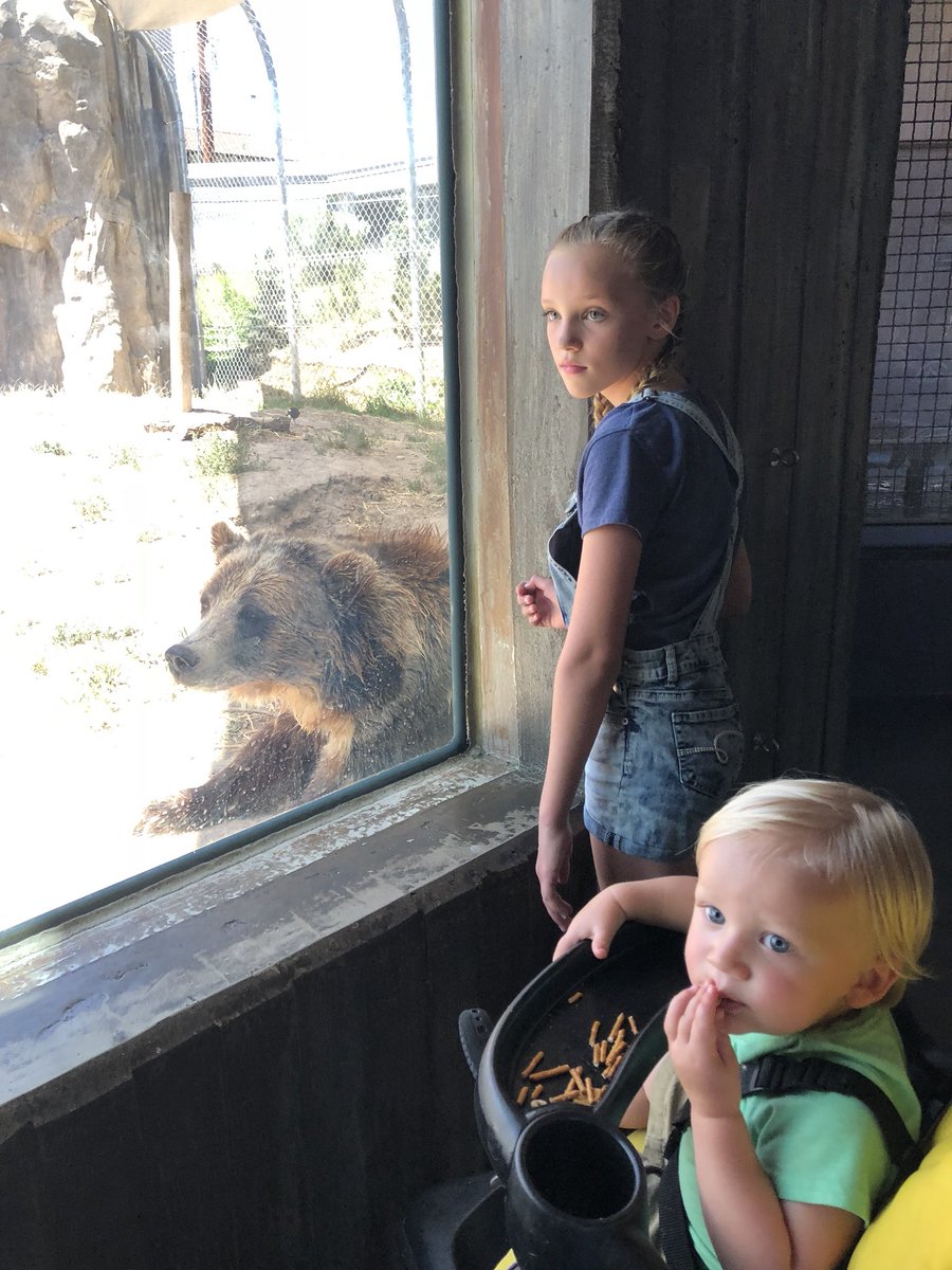 SheriSeljaas's tweet photo. @IceTrea Kirsten, Cameron and a bear looking in the same direction. Is this how you tweeter? https://t.co/ANf3hxay4U
