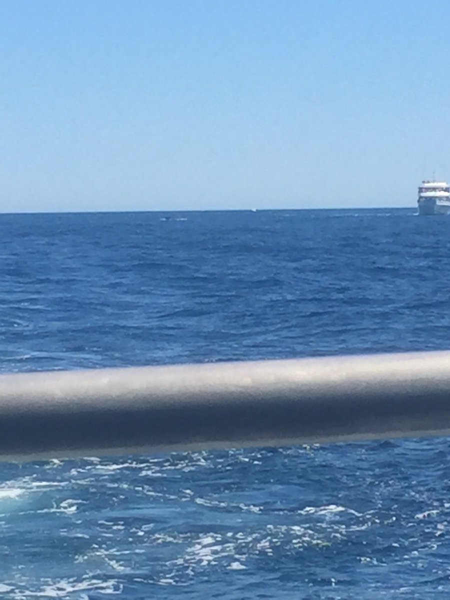 gillianKelley2's tweet photo. โSaw the sunshine โ๏ธ dancing on the clear blue water ๐, yeah Iโm hooked on it.โ #hookedonit #WhatMakesYouCountry #LukeBryan @LukeBryanOnline https://t.co/01MRADIQJE