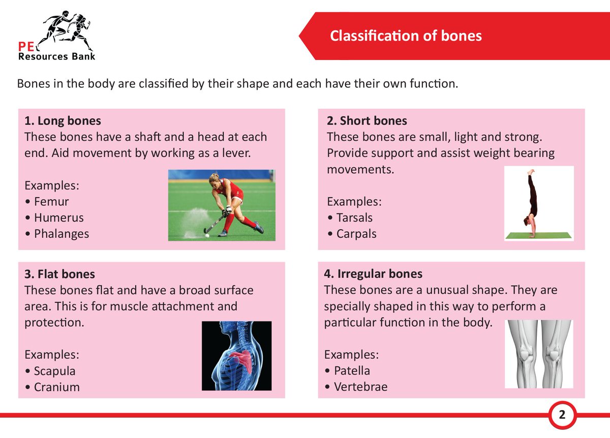 PEResourcesBank's tweet photo. We are giving away 3 sets of GCSE PE (9-1) Revision Flash Cards. Just retweet to enter, winners will be picked at 7pm Monday. GCSE PE - Teachers, Students and Parents. https://t.co/2AdzG1favT https://t.co/2GuYqaR9VN
