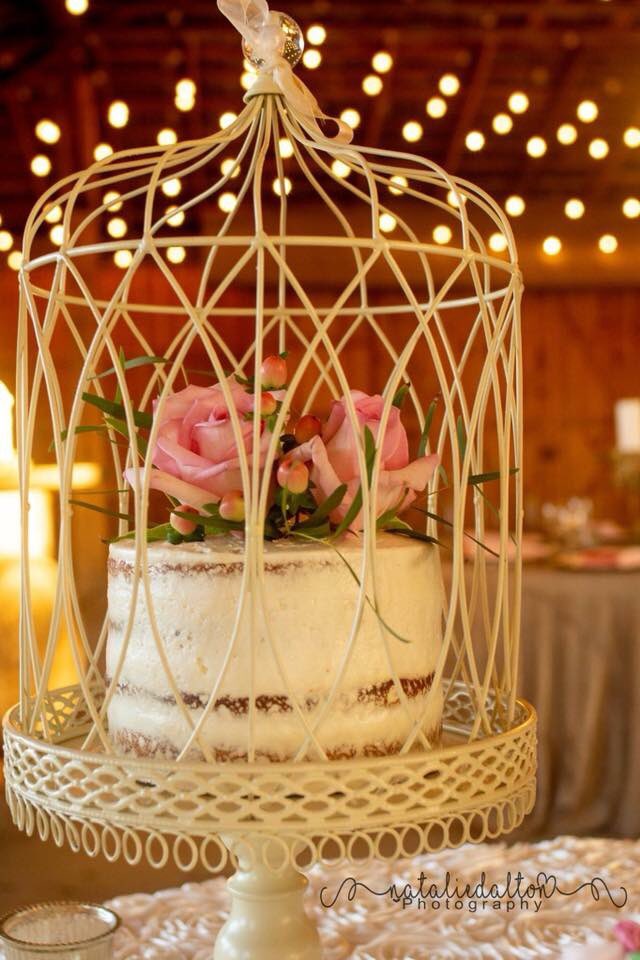 TimNatPhoto's tweet image. Beautiful shoot at Thompson Farms in Conway, SC.