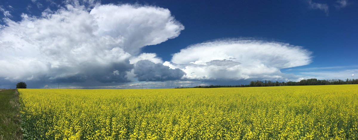 Thunder is starting! #abstorm #yegwx Nisku AB 1:43 July 7/18