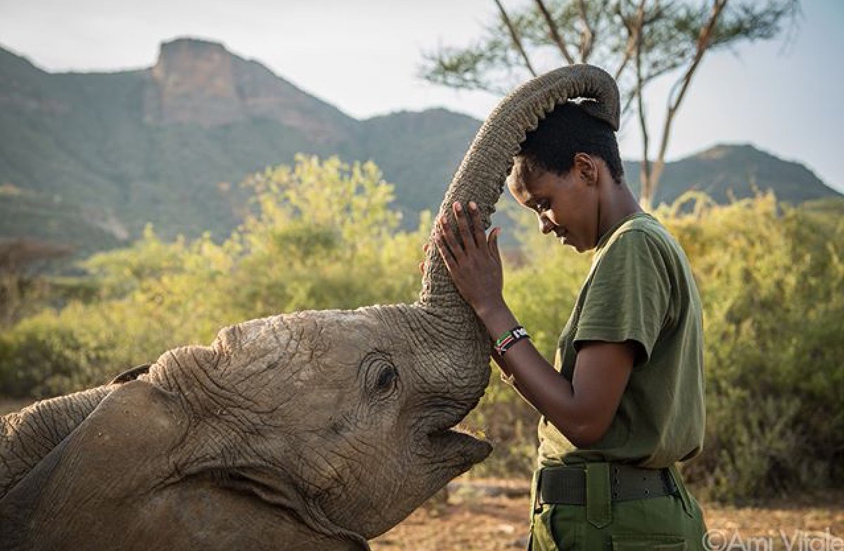 BrandLOGOExpert's tweet photo. "Kindness is the language which the deaf can hear and the blind can see."

Thank You @ramblinsloa for your Wonderful Image and for sharing Mark Twain's fabulous Inspirational #Quote.                                  

Pic Ami Vitale https://t.co/nuqiKTbLpD