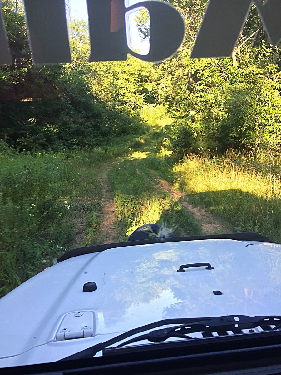 SolarTJChick's tweet photo. Headed out for some weekend fun!  @THEJeepMafia #jeeplife https://t.co/L2qdPmgmb0