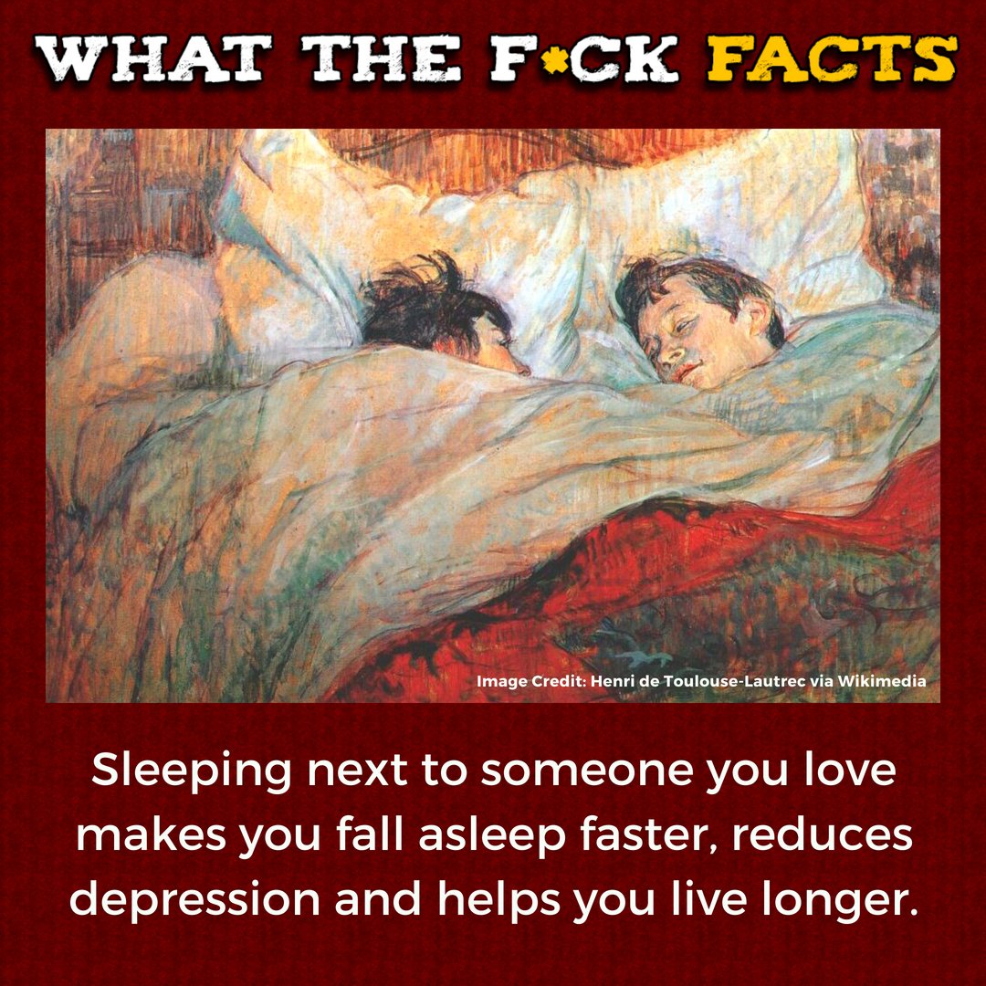 What The F*** Facts (@whattheffacts) on Twitter photo 