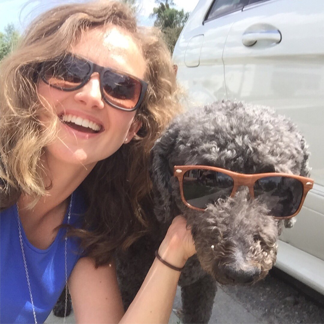 ToolShedBeer's tweet photo. Our sunglasses are back in our Tap Rm. Last year, we sold out fast,&this year, even dogs are hopping on the trend!For $10 a pair, you can be part of it too!Submit your pics of your dogs in our shades until the end of Stampede, the best pic gets a Tool Shed dog collar. #tothepatio https://t.co/B8bq8RBfG7
