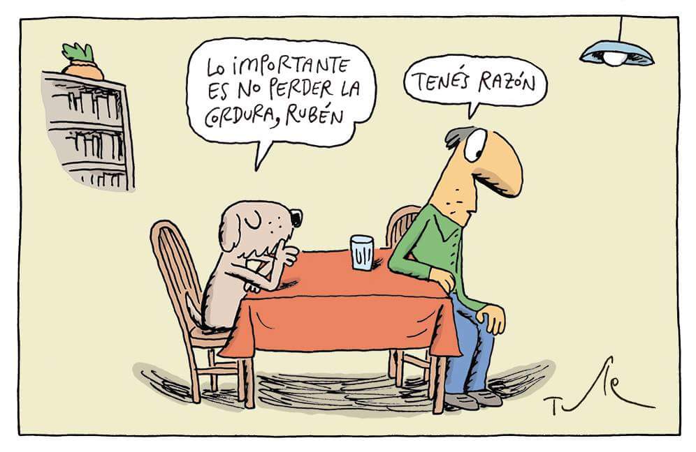 lostinthewindz's tweet image. 