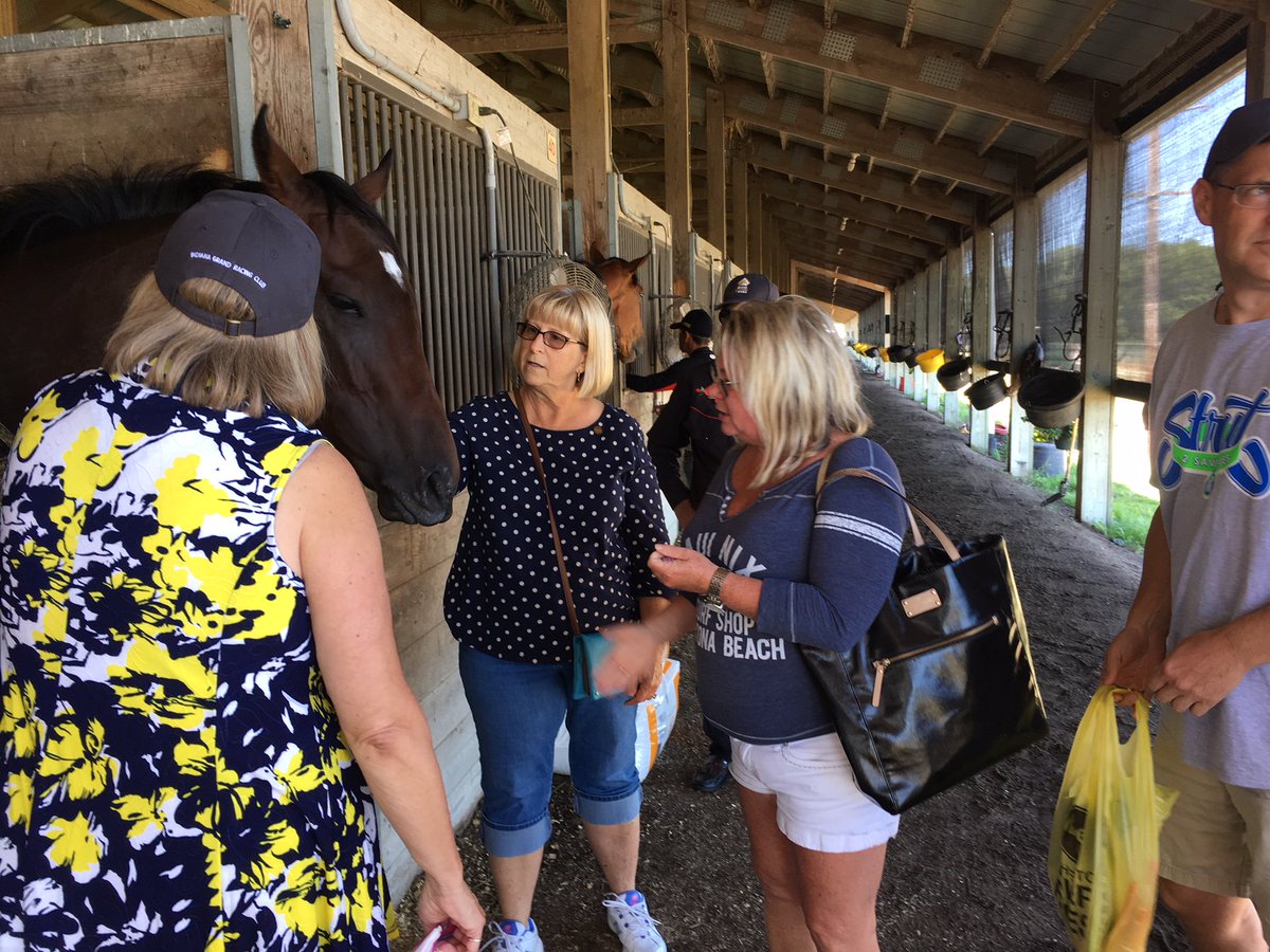 GrandGestureStb's tweet photo. Nice morning for a tour to see Bold Concept at the Tony Granitz Stable @IGRaceCourse @IGTammy @NancyUryHolthus @RacingRachelM @billdownes1 https://t.co/P1Cn9Qkb32