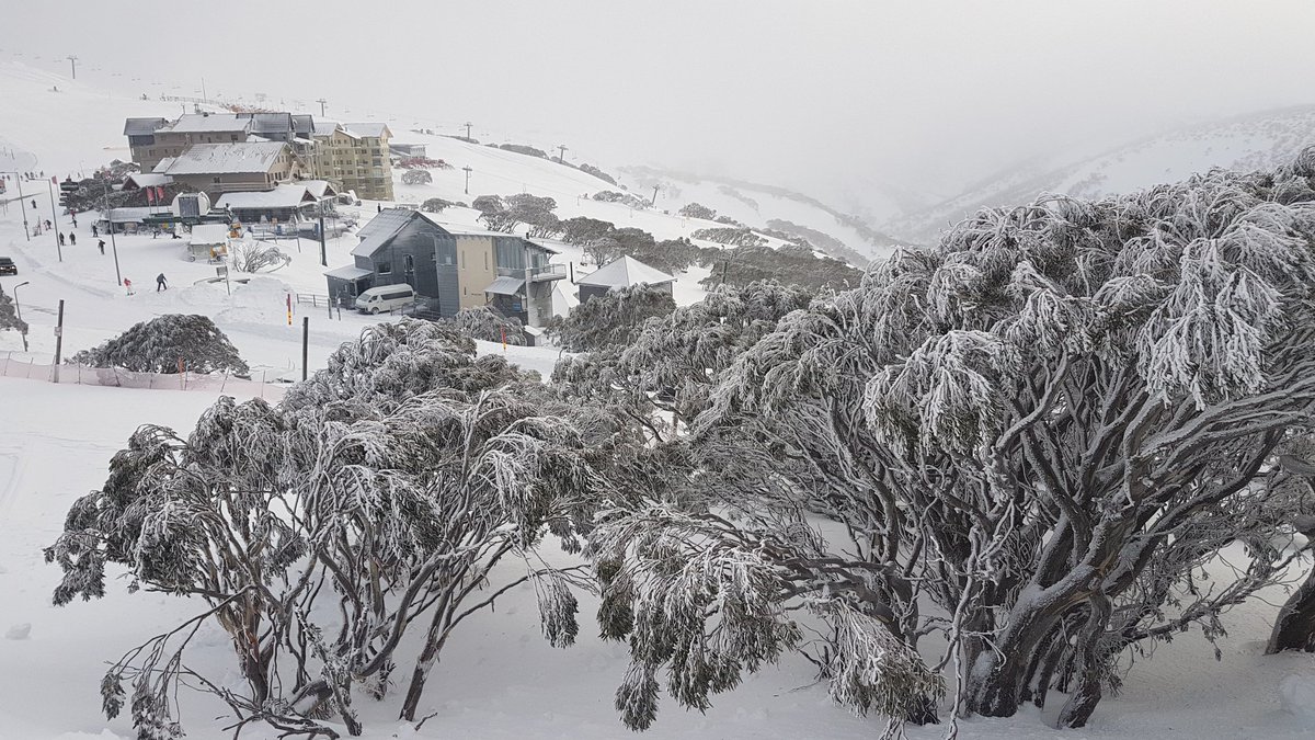 _hotham's tweet photo. 30cm of fresh #snow at #Hotham this weekend. Base depth is over 80cm. Gotcha chair opens today. Enjoy! ❄🏂⛷❄ https://t.co/lixwilid8J