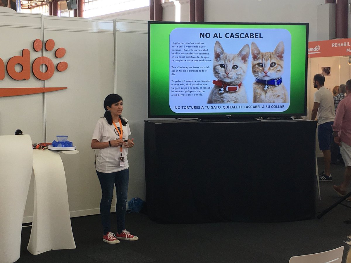 Alejovich74's tweet image. Muy orgulloso del amor de mi vida, @Letipatyshana, tras su charla de hoy en #Animundo. Cómo se nota que te apasionan las cosas que haces!!!!!! Felicidades por el trabajo realizado. 
❤️🐱🐾
