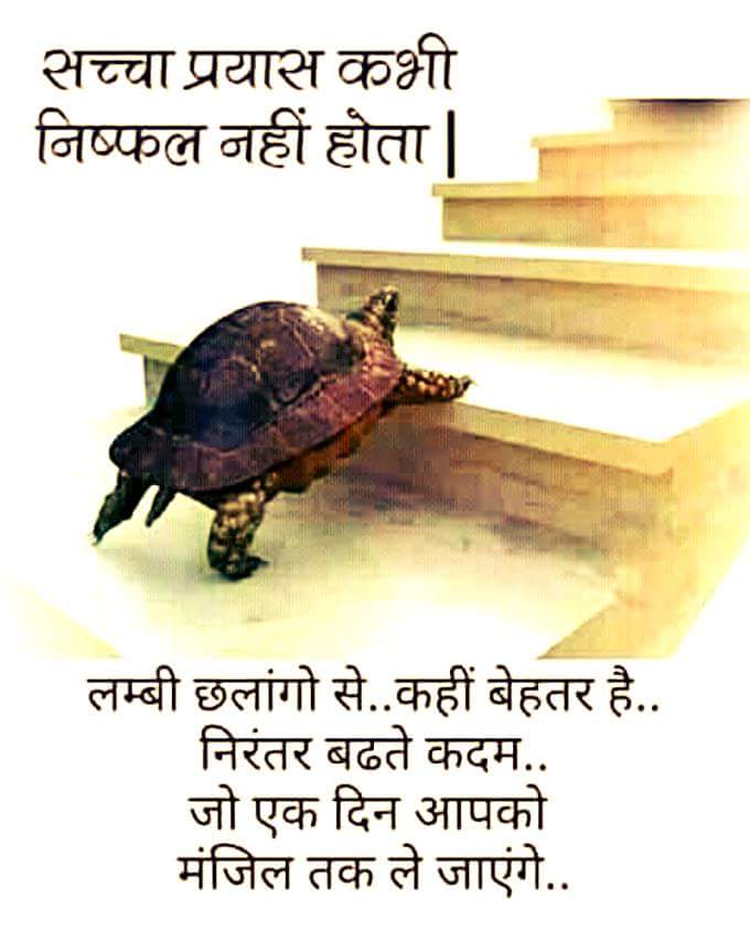 pushpendrakum's tweet image. #isupportcrypto