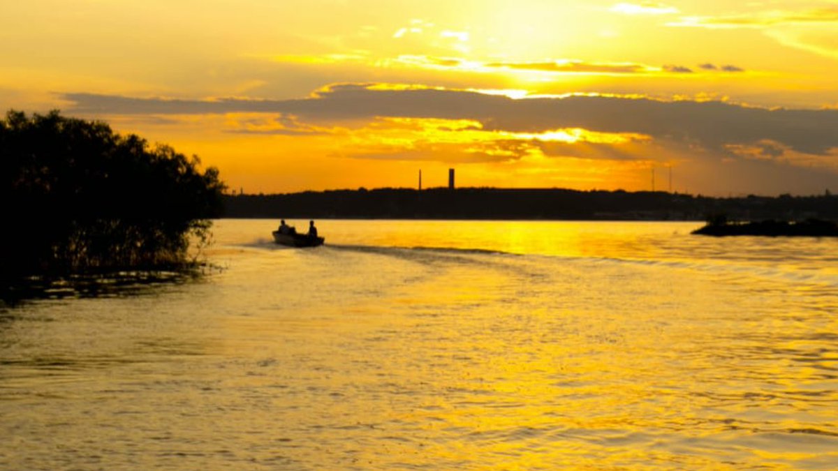 Manaus minha terra querida , seus Rios igarapés e floresta me encantam