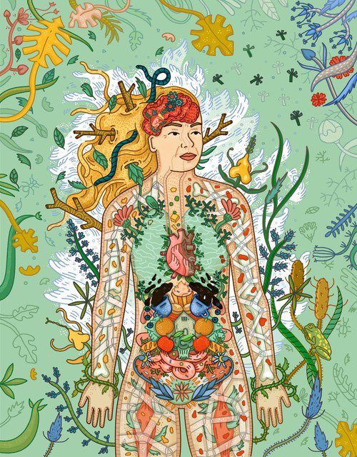 DesignSlam's tweet image. Indrė Vaiciukaitė — Anatomy of my mother

designslam.me/showcase/indre… #illustration #designslam