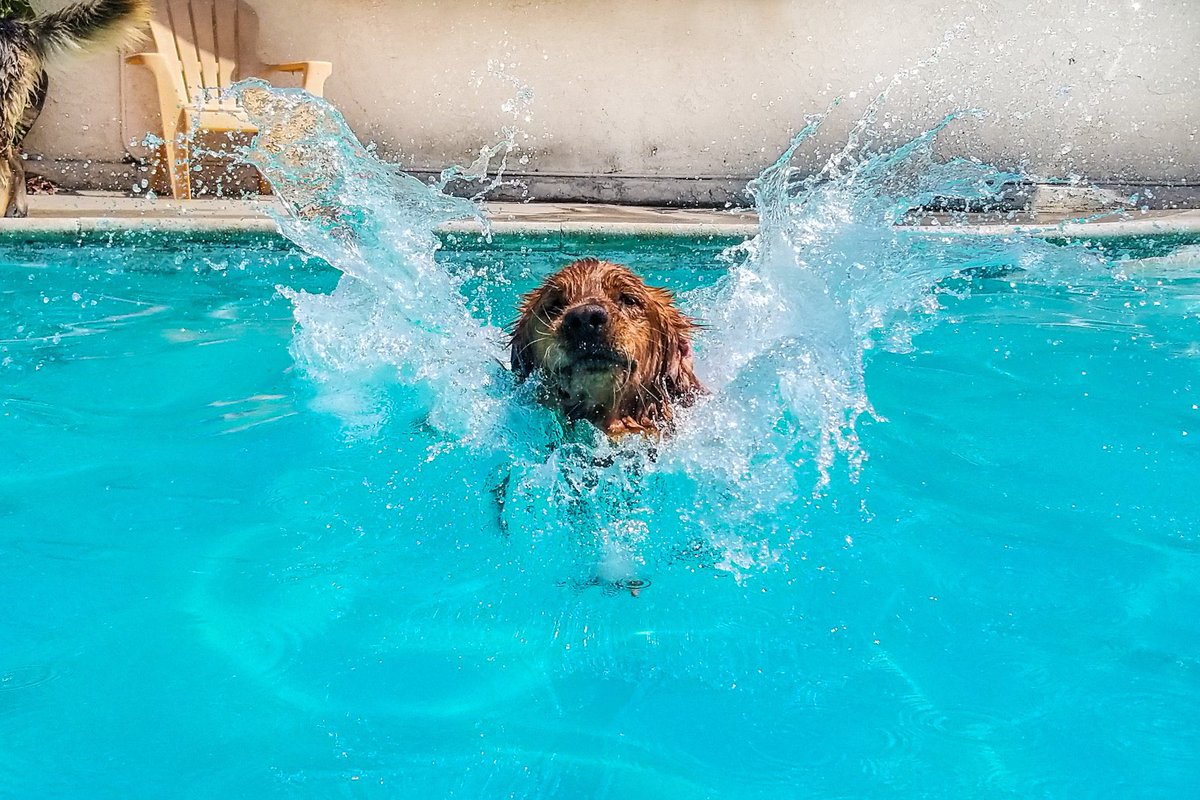 Having a <a href="/HaywardPool/">Hayward Pool</a> is ‘GOLDEN’.