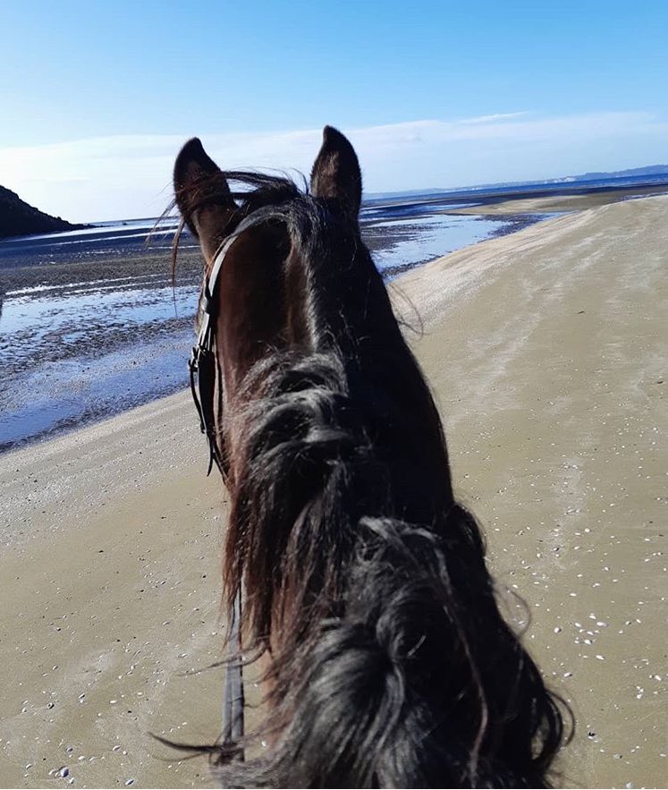 vmll____'s tweet photo. 🐎🧡🧡🧡. https://t.co/Nw2gTU5Jy2