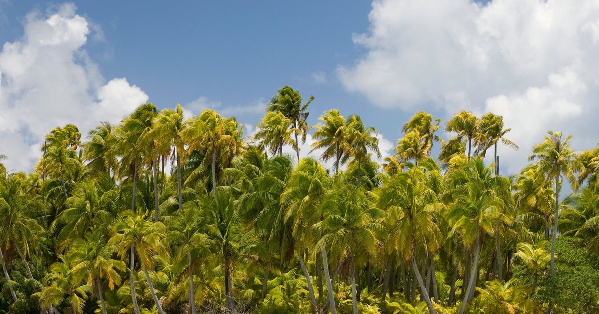 Teleferika_'s tweet photo. El paraíso circular de las Tuamotu, archipiélago de la Polinesia Francesa
https://t.co/6jKfkGa2S3

#ecoturismo https://t.co/rHfQViCWmu
