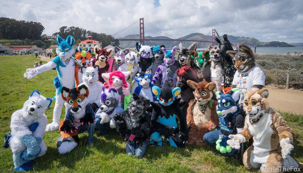 Catprowler12's tweet photo. @TheGGBridge Last time was so much fun, but there are different parts of SF that need to see a little fur this time.  We will be back next year though for sure!! https://t.co/rY3iPB6cKY