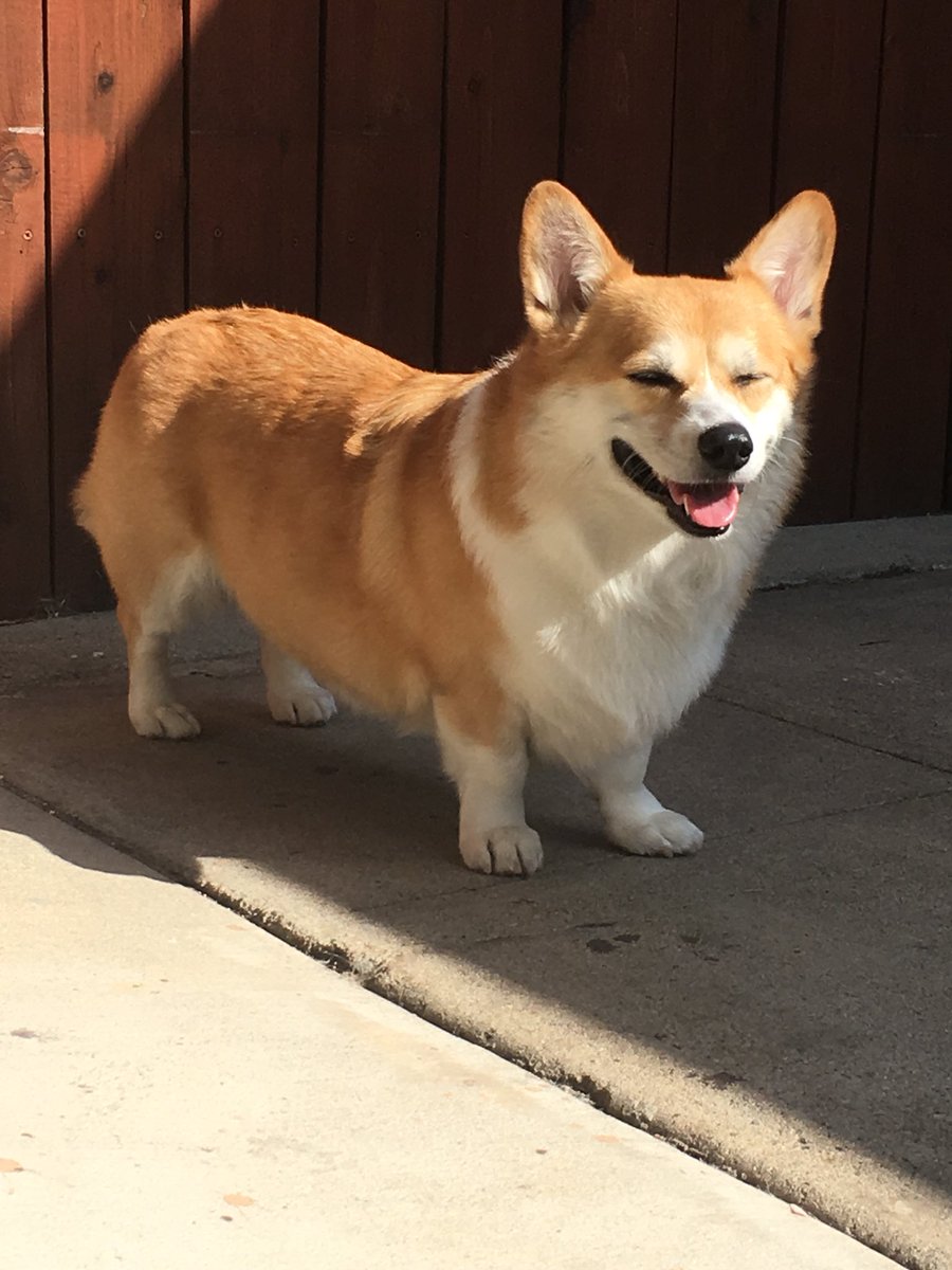 캡틴 일기 tweet media