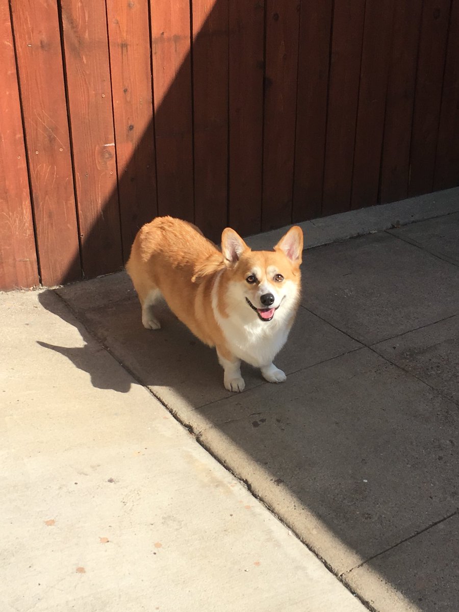 캡틴 일기 tweet media