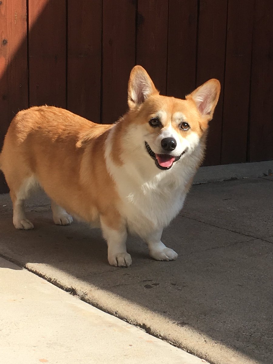 캡틴 일기 tweet media