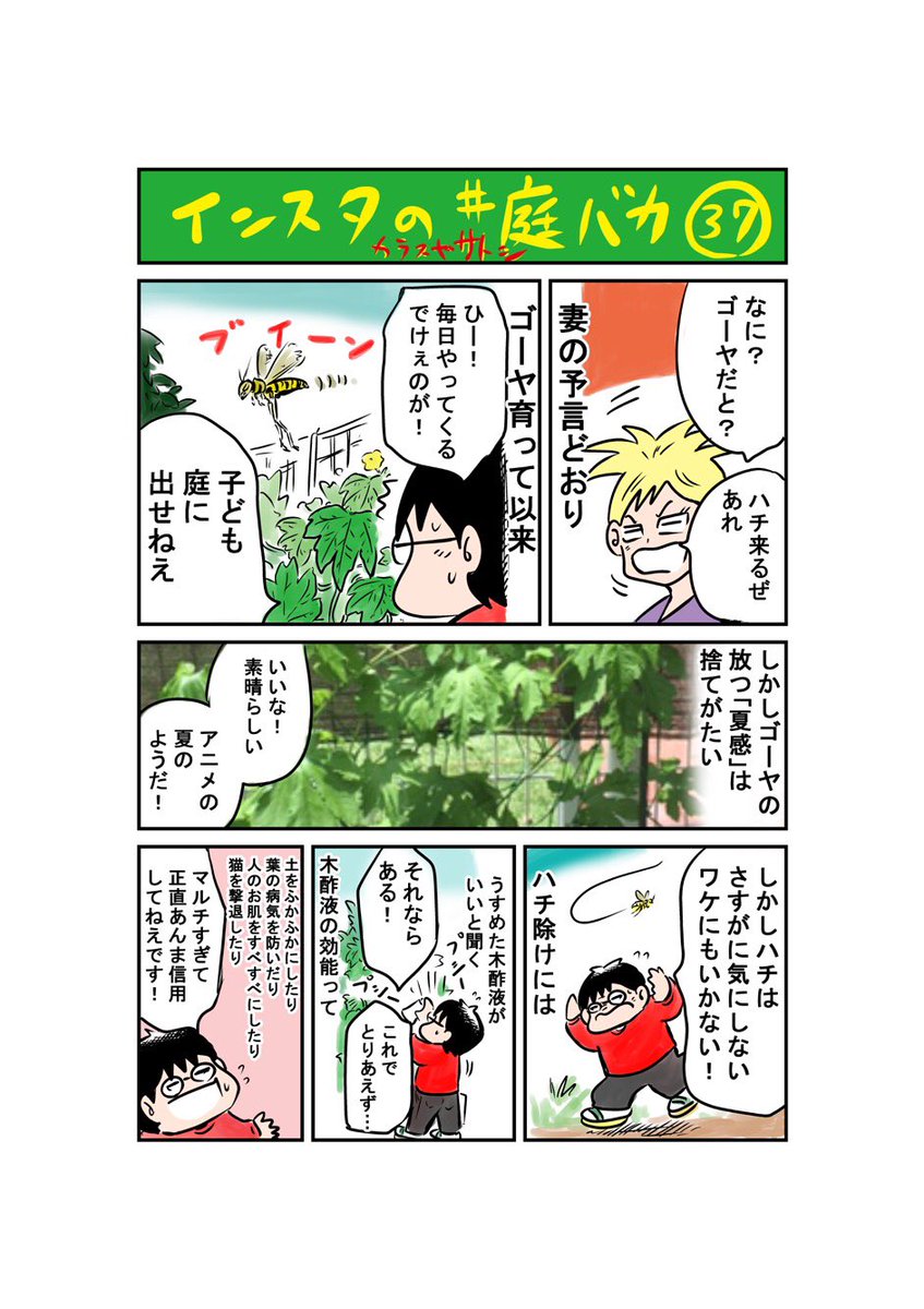 おはようございます。インスタ庭マンガ「ゴーヤ・ハチ・木酢液」#庭バカ #ゴーヤ #アシナガバチ #木酢液 