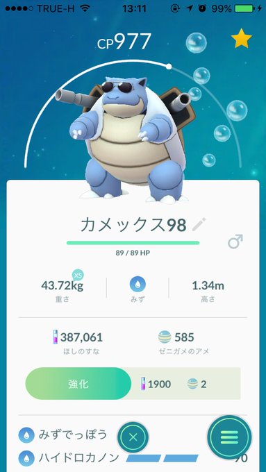 ポケモンgo サングラスのゼニガメがコミュニティデイで出現 ゲームウィズ