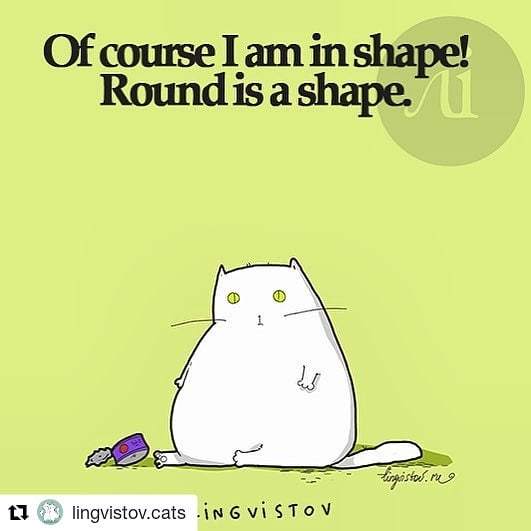 #Repost <a href="/lingvistov/">Lingvistov</a>.cats
・・・
#foodcoma #greedycat #catsrule #acatslife #catboss #dietssuck instagram.com/p/Bk88BBaFxUi/