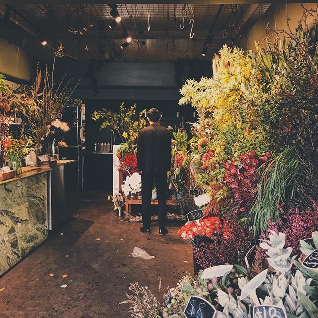 kazesuki's tweet photo. Gimme some flowers #melbourne #flowers #florist #needabetterhashtag https://t.co/Jmi8dcF1SO https://t.co/T2lDdShdvE