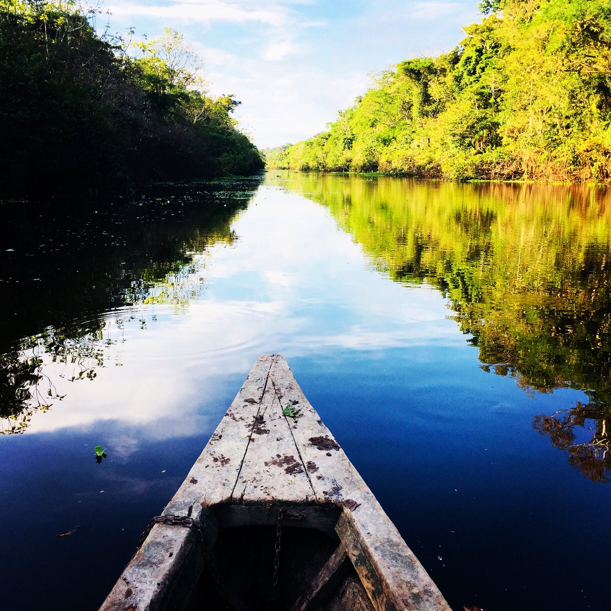 DeeBlackman's tweet image. Into the Amazon... #AmazonExperience #ttot