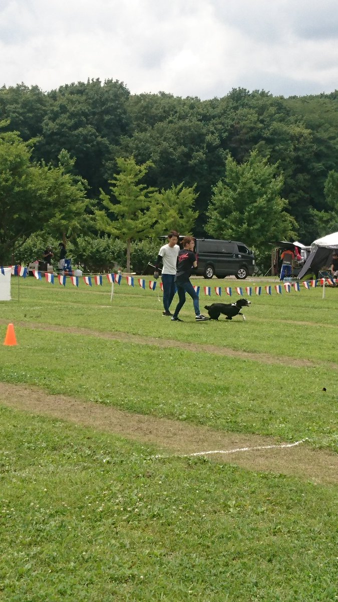 国際ペット総合専門学校 Di Twitter 今回の大会はなんと 卒業生も出場しています 国際ペット総合専門学校 ディスクドッグ ロマンチック村